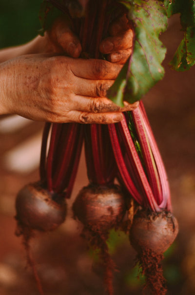 Mouth-Watering Beet and Kale Stir Fry Recipe