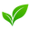 The Ayurveda Shop logo